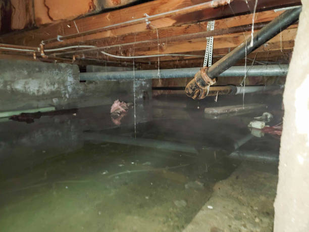 Best Water damage restoration near me  in Hot Springs, AR