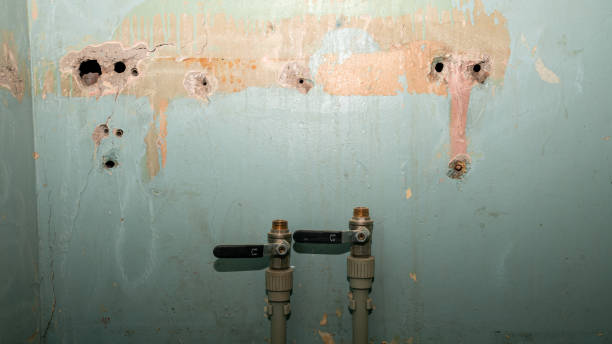 Water damage restoration mold remediation in Hot Springs, AR