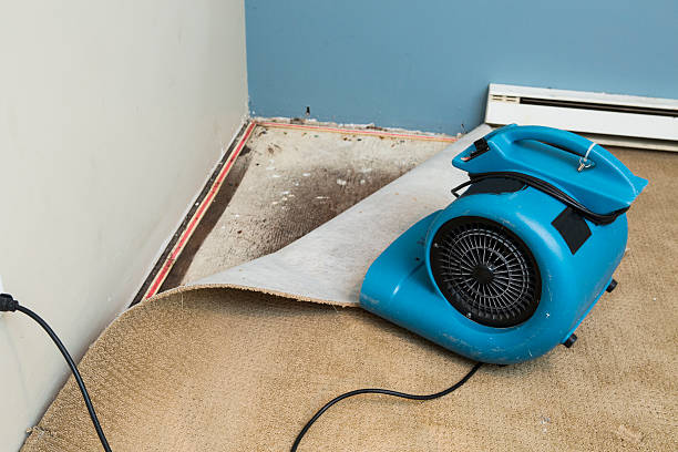 Best Water damage restoration mold remediation  in Hot Springs, AR